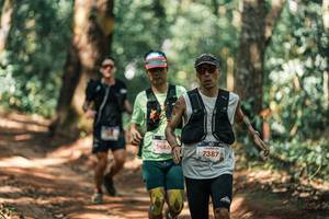 BIB: 
                            <button type="button" onclick="openModal(25336841)" class="btn btn-primary btn-sm float-right btn-popup" data-toggle="modal" data-target=".modal-high-quality">
                        <i class="fas fa-shopping-cart"></i> Add to Cart
                    </button>
                                            <button type="button" onclick="isThisMe(25336841, true)" class="btn btn-success btn-sm float-right btn-popup btn-isme hidden" data-toggle="tooltip" data-placement="bottom" title="นี่คือรูปของคุณใช่ไหม คลิกที่นี่เพื่อเอาเข้าอัลบั้ม">
                        <i class="fas fa-plus"></i> Add to album
                    </button>
                    <button type="button" onclick="isThisMe(25336841, false)" class="btn btn-warning btn-sm float-right btn-popup btn-isnotme hidden">
                        <i class="fas fa-ban"></i> Remove from album
                    </button>